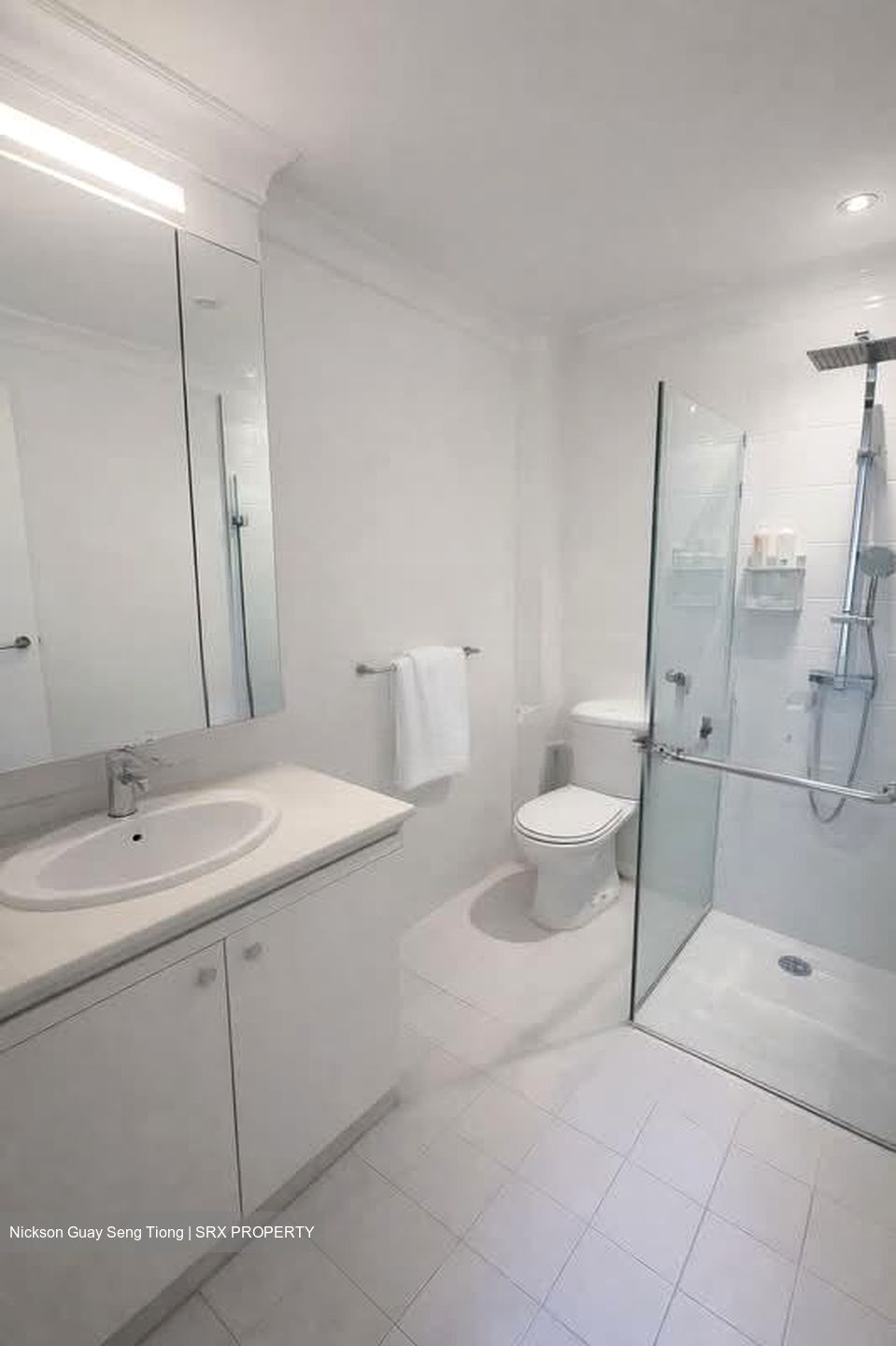 Hock Swee Hill (D28), Semi-Detached #539030091